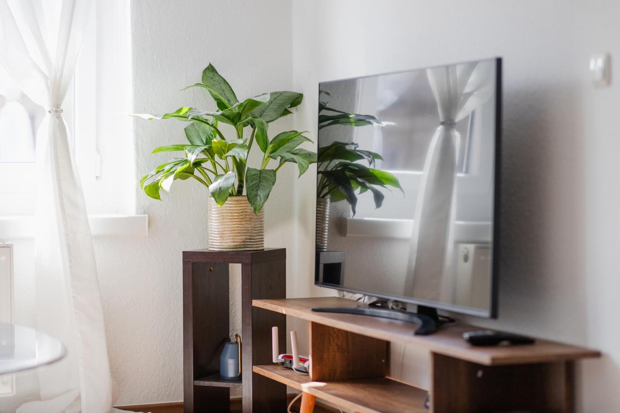 Anton Appartement *